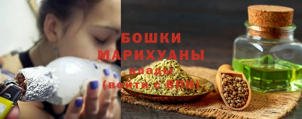 дурь Богородицк