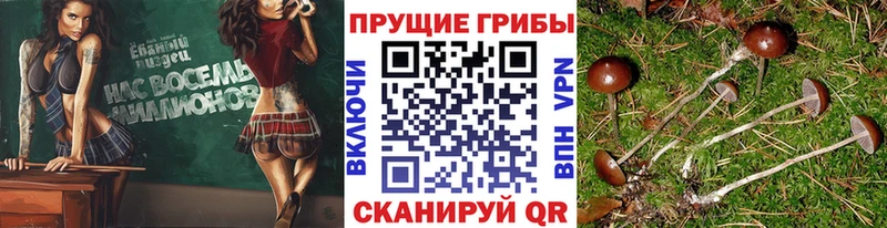 Псилоцибиновые грибы ЛСД  Белозерск 